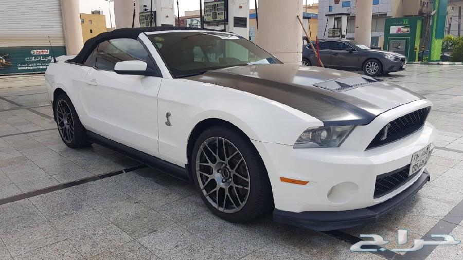 شيلبي 2011 shelby gt500