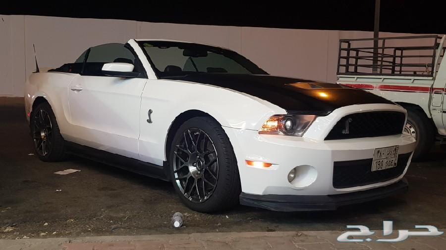 شيلبي 2011 shelby gt500