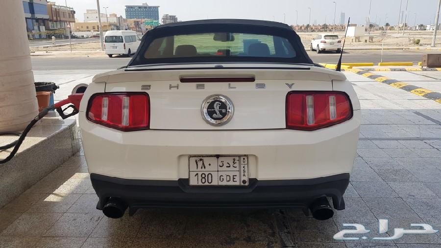 شيلبي 2011 shelby gt500