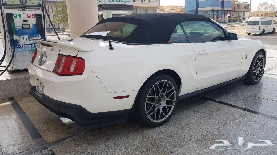 شيلبي 2011 shelby gt500