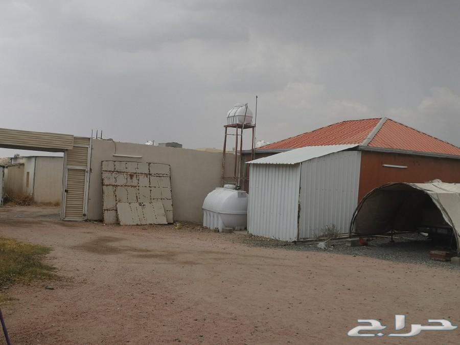 للبيع عمارة بصك شرعي حي القلت بالطائف