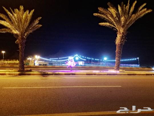 مشروع منتزة العاب قائم وشغال ومربح للتقبيل