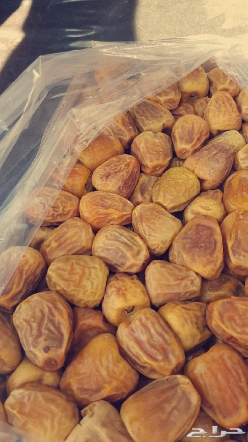 تمر سكري مفتل طازج من مزارعنا