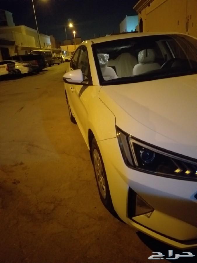 النتراء2019