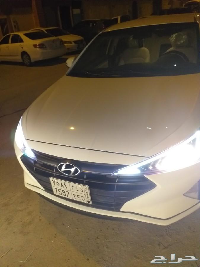 النتراء2019