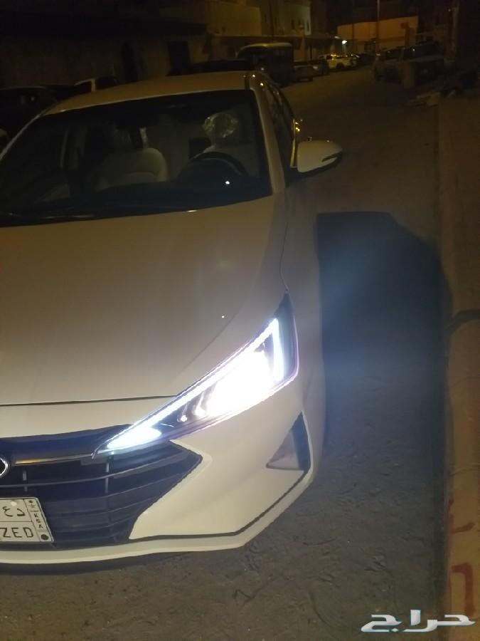 النتراء2019