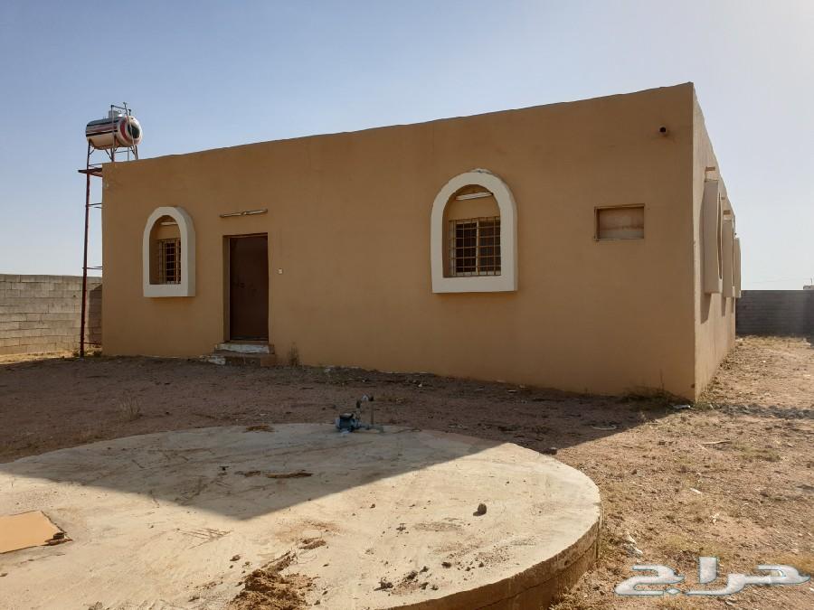 للإيجار بيت شمال الطائف _ منحة القثمه