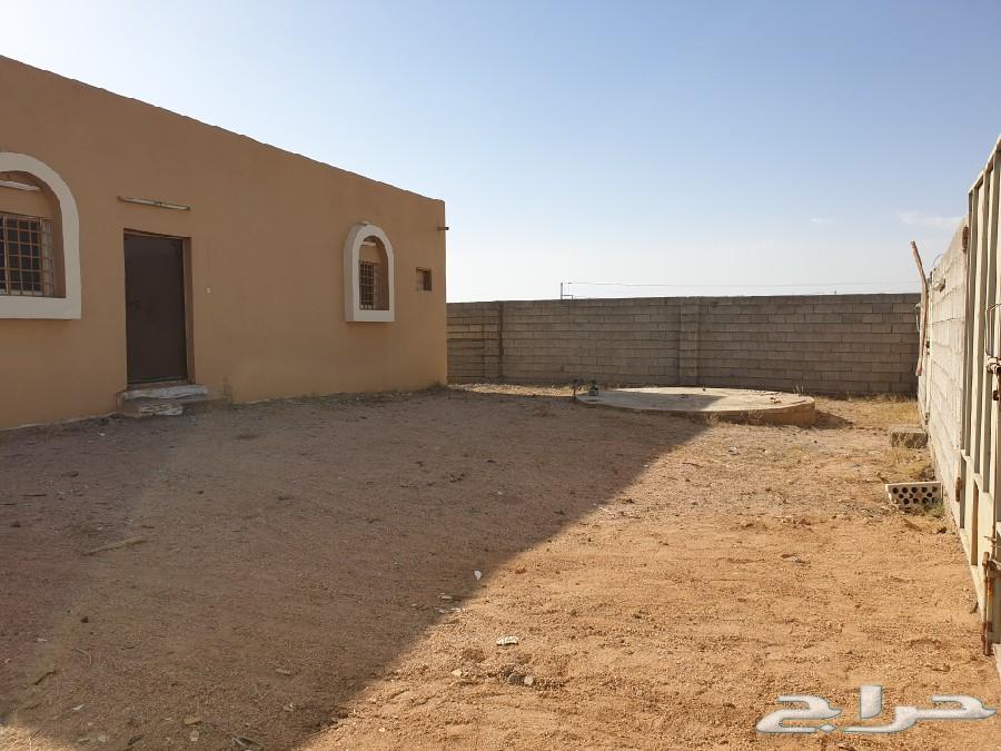 للإيجار بيت شمال الطائف _ منحة القثمه