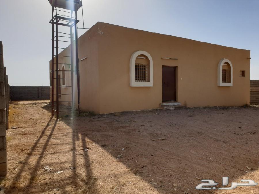 للإيجار بيت شمال الطائف _ منحة القثمه