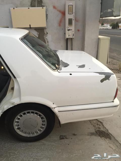 سدرك بودي بلد 99