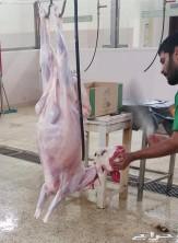 ذبايح مع إمكانية التوصيل للبيت