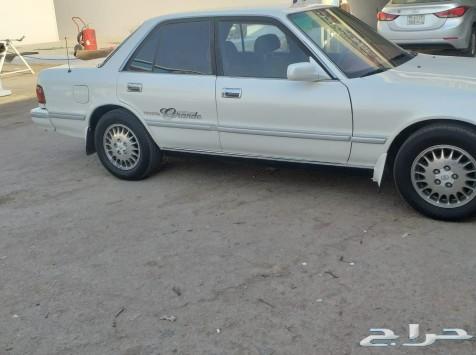 الرياض
