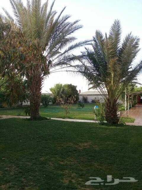 استراحه للبيع طريق الجنوب (السوطه )