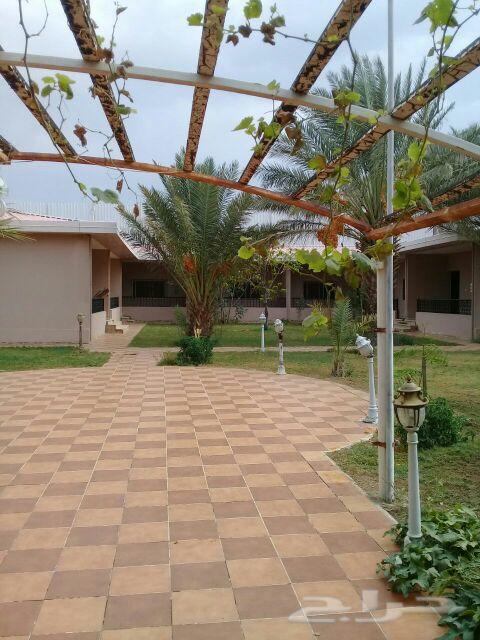 استراحه للبيع طريق الجنوب (السوطه )