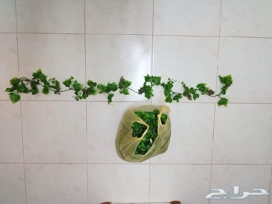 مجموعة اغراض للبيع