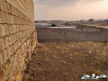 حوش في أواله بعد قاعة السيف 75الف