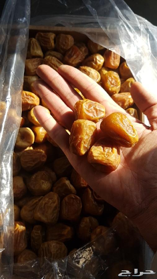 تمر سكري مفتل طازج من مزارعنا