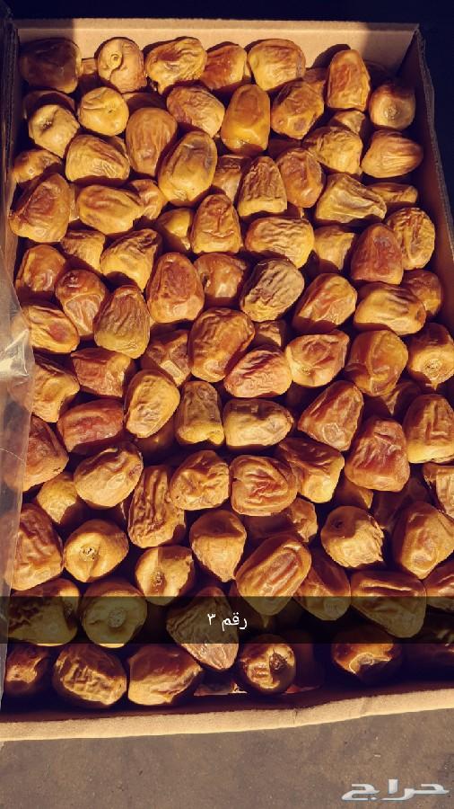 تمر سكري مفتل طازج من مزارعنا