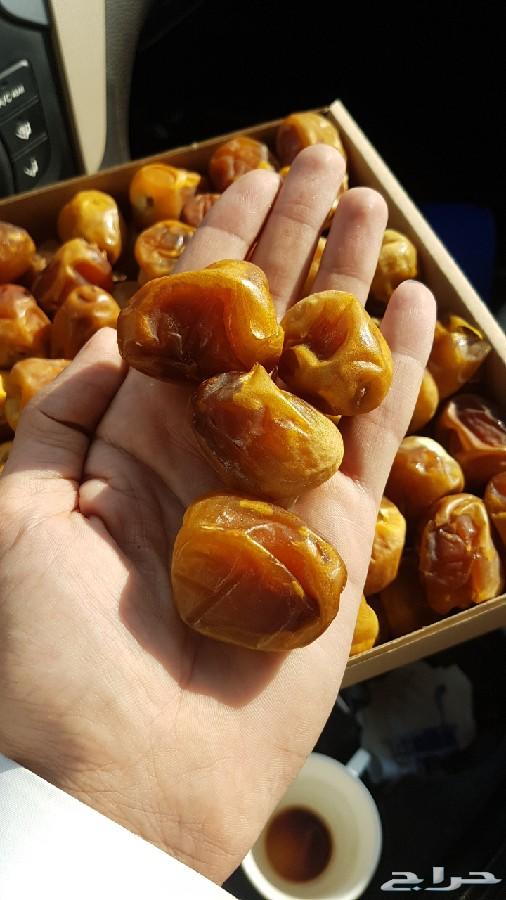 تمر سكري مفتل طازج من مزارعنا