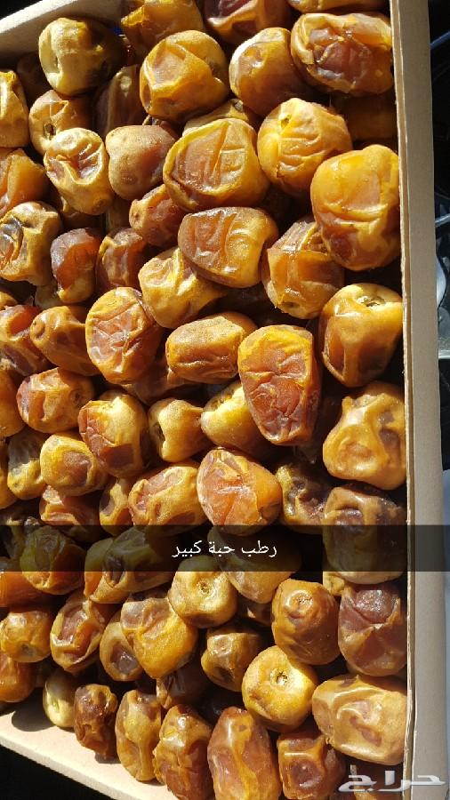 تمر سكري مفتل طازج من مزارعنا