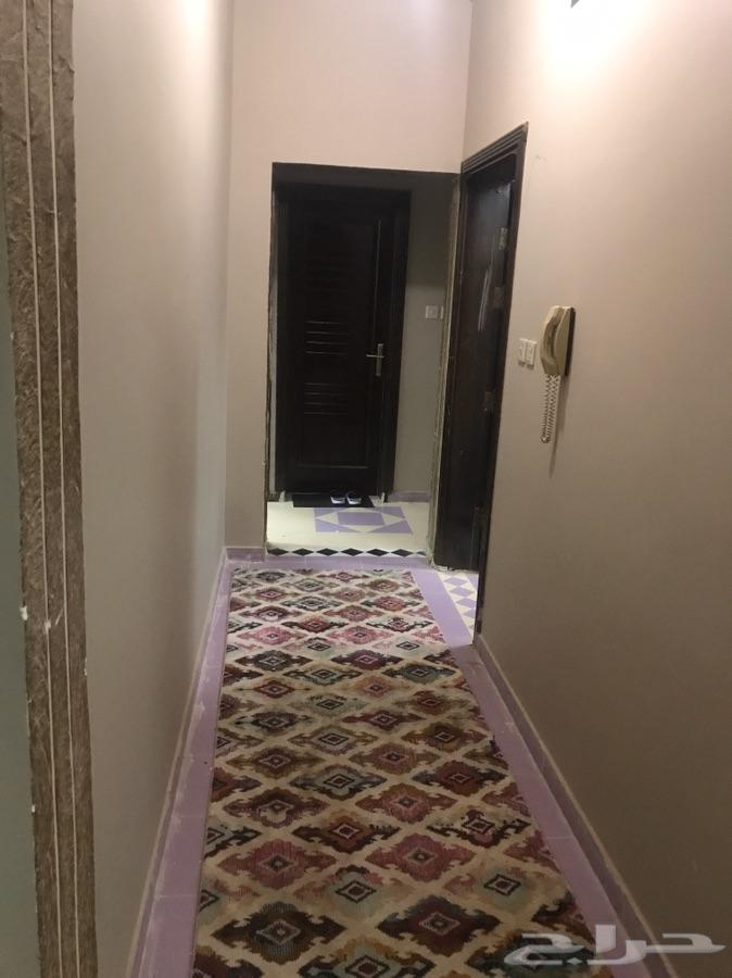 شقق مفروشة للإيجار عوائل سنوي شهري يومي