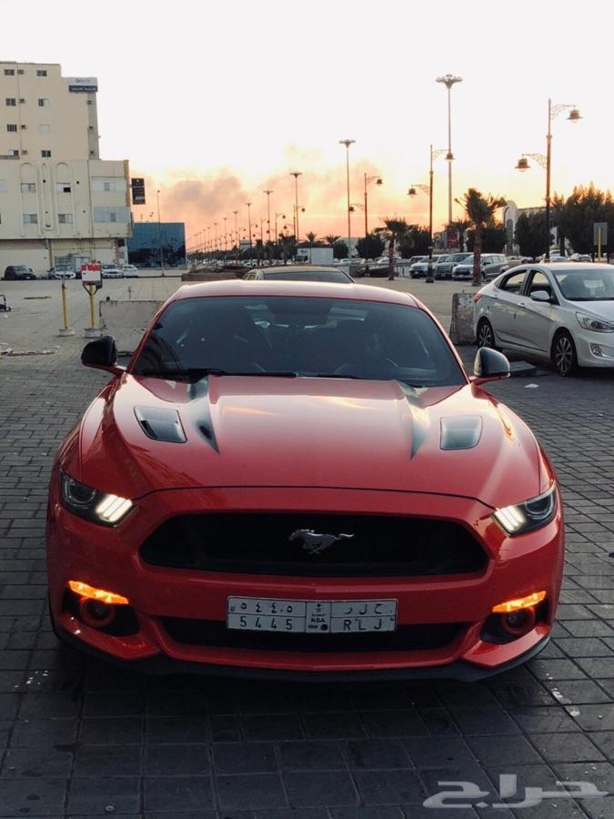موستنق بكج شيكر GT 2015