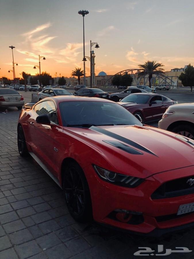 موستنق بكج شيكر GT 2015