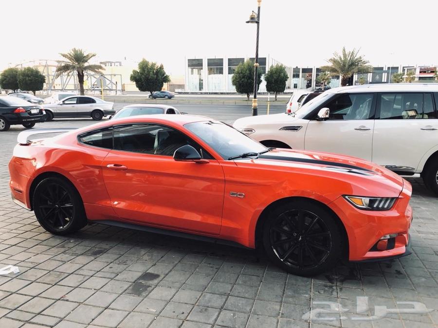موستنق بكج شيكر GT 2015