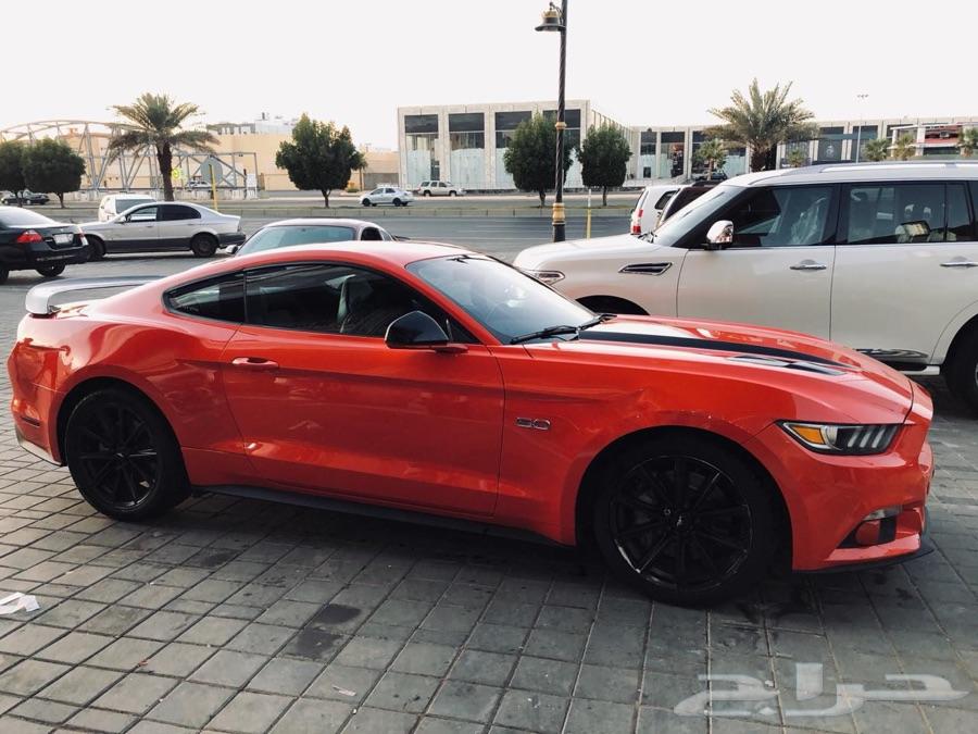 موستنق بكج شيكر GT 2015