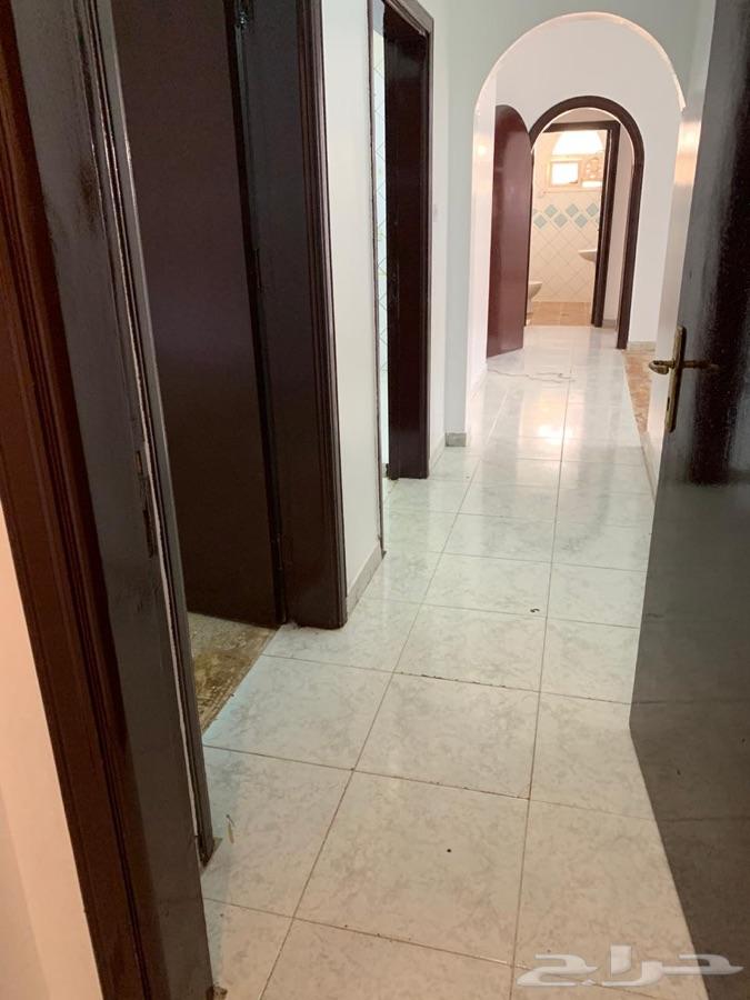 شفة عوائل للإيجار في حي الشفا