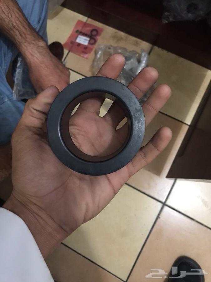 جلد دودة الدركسيون