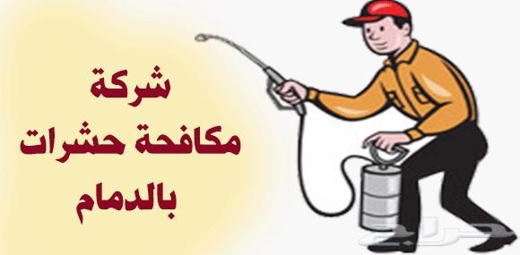 شركة مكافحة حشرات ورش مبيدات منزليه