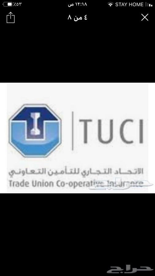 تامين سيارات