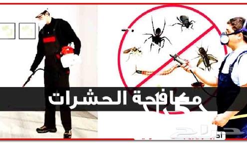شركة مكافحة حشرات ورش مبيدات