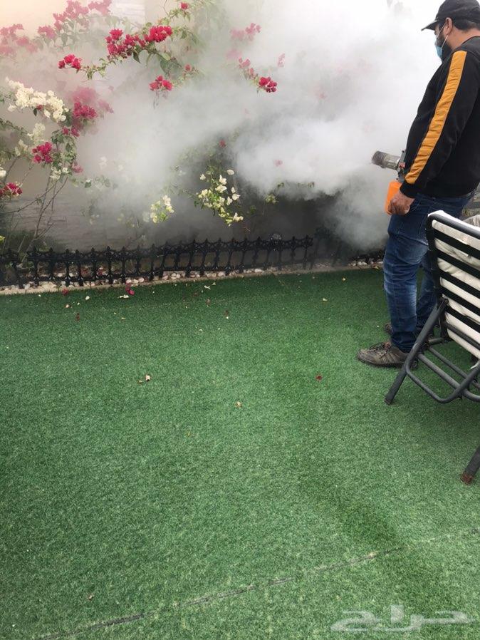 شركة تنظيف كنب سجاد مجالس خزانات مكافحةحشرات