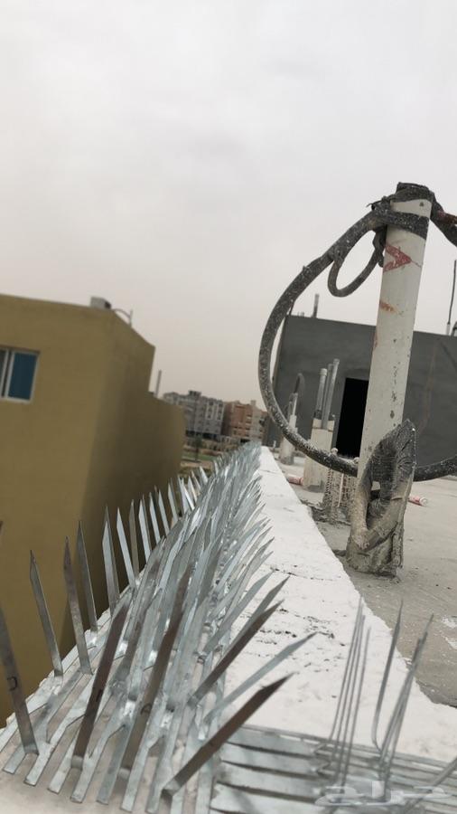 شركة مكافحة حمام وتركيب شبك وطارد الحمام