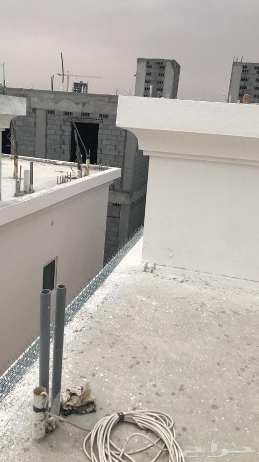 شركة مكافحة حمام وتركيب شبك وطارد الحمام