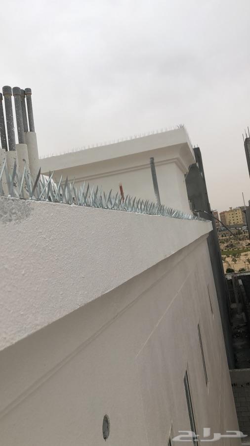 شركة مكافحة حمام وتركيب شبك وطارد الحمام