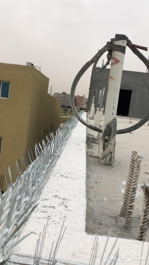 شركة مكافحة حمام وتركيب شبك وطارد الحمام