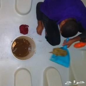 شركة تنظيف مجالس كنب سجاد شقق خزان بالرياض
