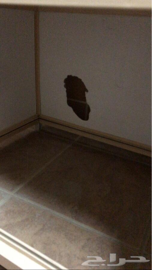 مطبخ وارفف ومغاسل 2