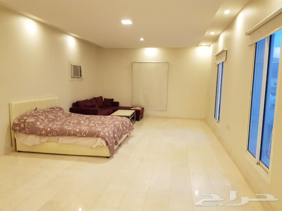 استراحة بيلسان