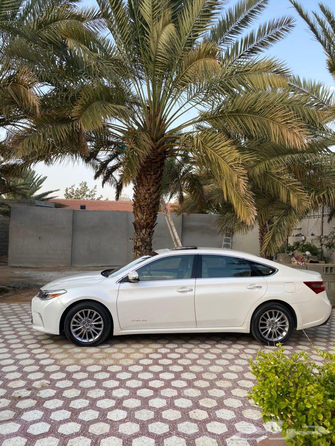 افالون 2016 ليمتد