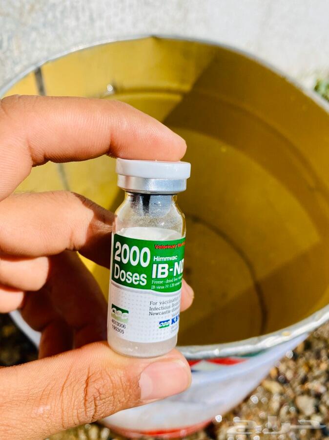 فرصة .. للمرب والي بيترزق الله