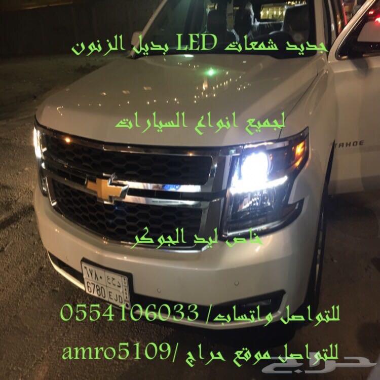 بديل الزينون ليد