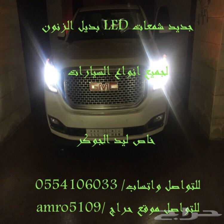 بديل الزينون ليد
