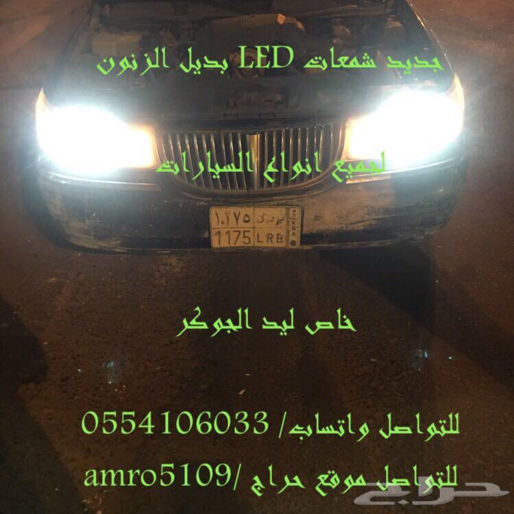 بديل الزينون ليد