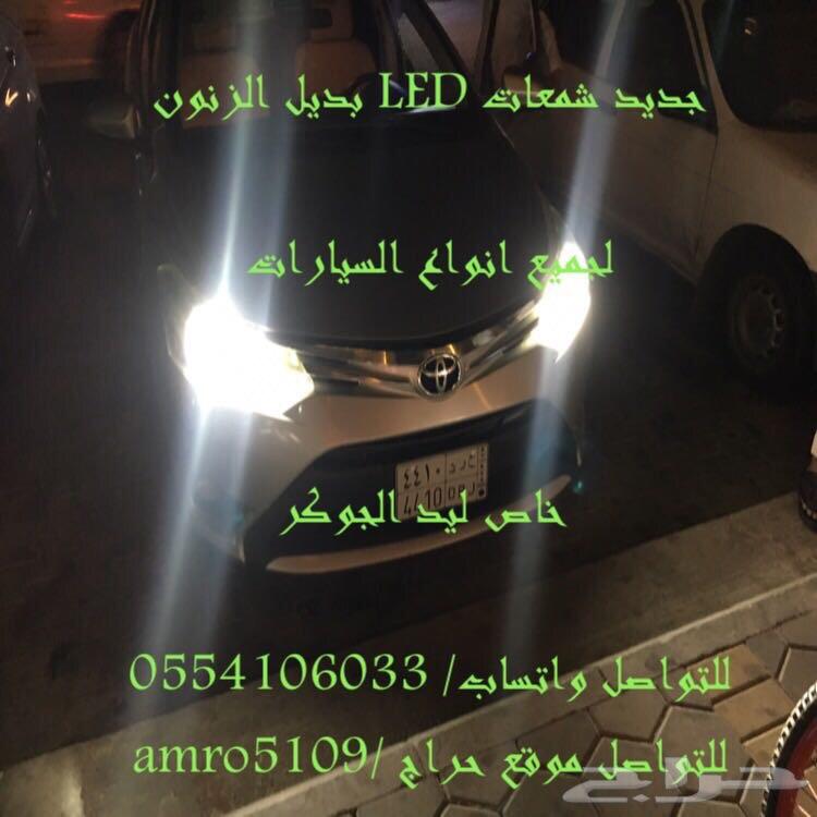بديل الزينون ليد
