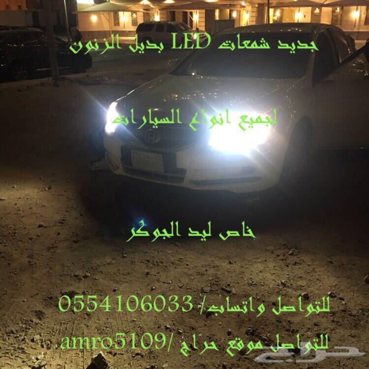 بديل الزينون ليد
