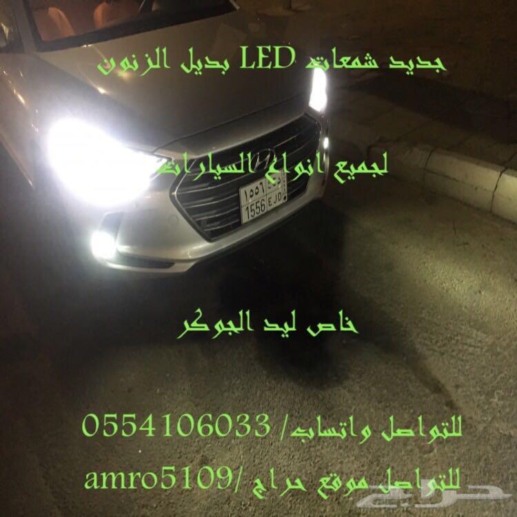 بديل الزينون ليد